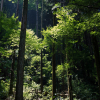Thumbnail of related posts 157