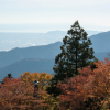 Thumbnail of related posts 088